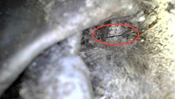 Flachdach Stehfalz - identifizierte Leckage